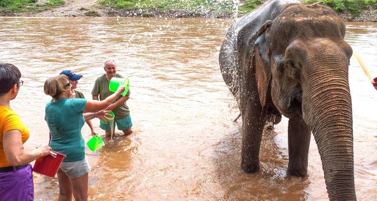 Discover the Best of Thailand: An Enchanting Journey from Bangkok to Phuket (Private Custom) - Odynovo 8