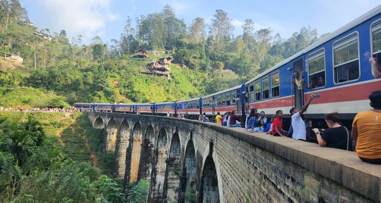 Circuit de 03 jours à Sigiriya, Kandy, Nuwara Eliya, Ella et Udawalawe - Apple Vacations Pvt Ltd 8