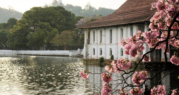 Circuit de 03 jours à Sigiriya, Kandy, Nuwara Eliya, Ella et Udawalawe - Apple Vacations Pvt Ltd 7