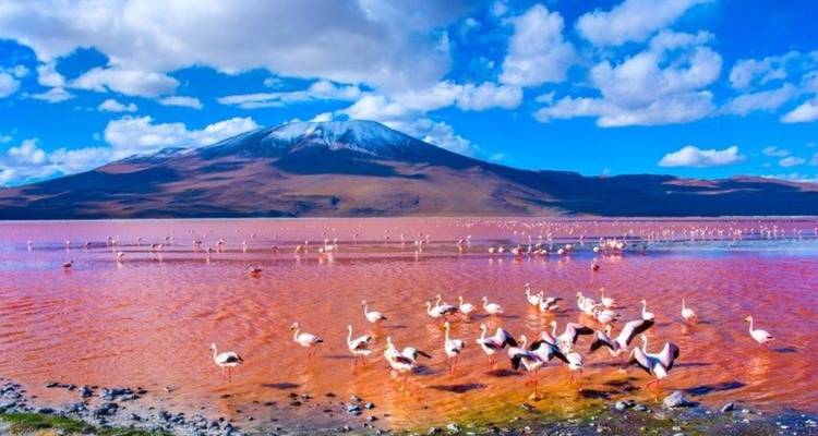 15 Days South American Wonders: Chile, Bolivia & Peru - Responsible Travel South America 6