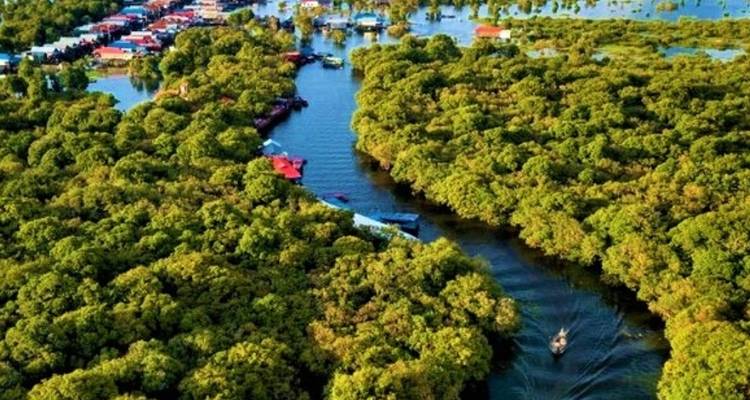 Prek Toal Birds Sanctuary and Tonle Sap Lake floating Village Private Boat  Tour - About Cambodia Travel & Tours 8