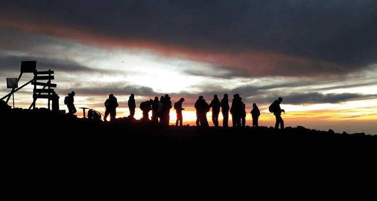Kilimandjaro par la route Lemosho - 8 jours *Haut taux de réussite au sommet*. - Jill Travel 1
