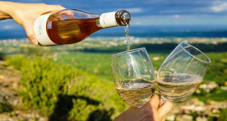 Dégustation de vin et escapade dans les vignobles près de Tirana - Choose Balkans 7