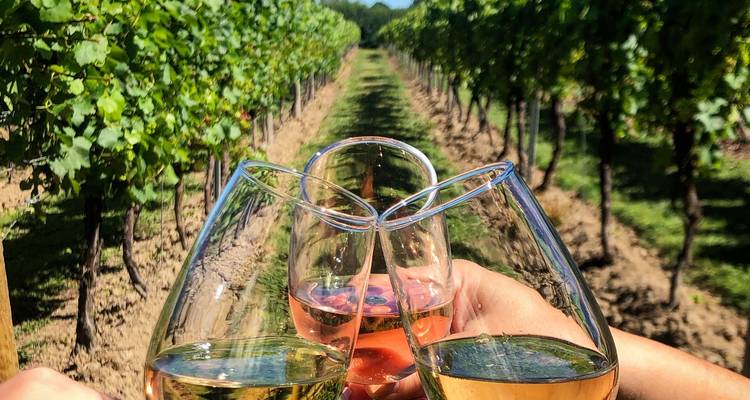 Dégustation de vin et escapade dans les vignobles près de Tirana - Choose Balkans 1