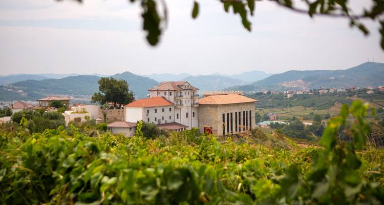 Dégustation de vin et escapade dans les vignobles près de Tirana - Choose Balkans 3