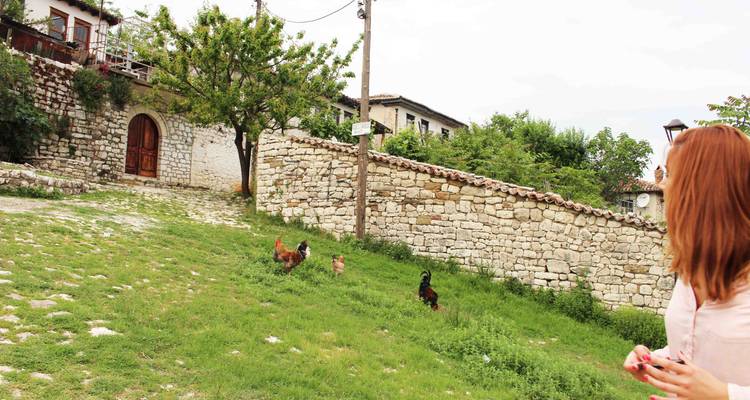 From Tirana: Small Group Day Trip to Berat & Belsh Lake - Choose Balkans 4