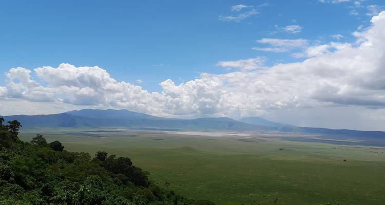 Desde Arusha 5 Días de Recorridos por Tanzania y Relatos de Vida Salvaje: Aventura Safari en Jeep, Ngorongoro, Lago Manyara - Beach and Safari Holidays 4