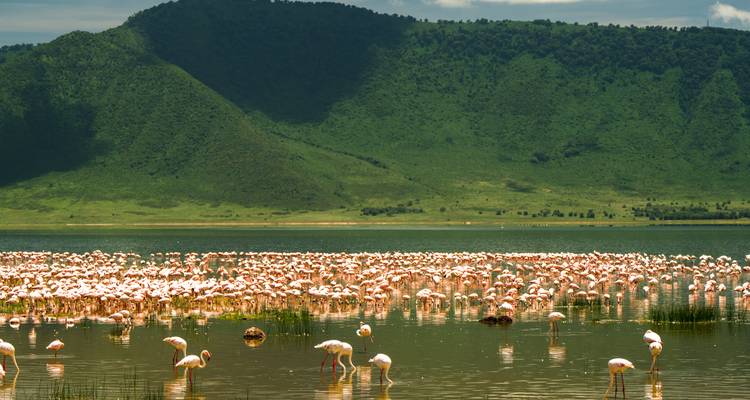 From Arusha : 5 days Best of Natron & Ngorongoro Conservation Area, Tarangire Safari - Beach and Safari Holidays 1