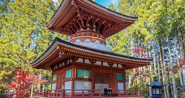 14 días circuito histórico panorámico de Japón (guía y conductor privados） - UME Travel Co. Ltd 3