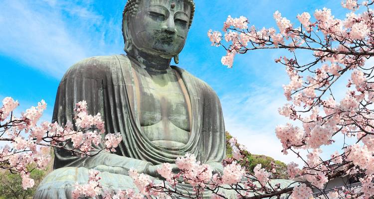 10 DaysJapan Cherry Blossom Family Tour with Teenager (private guide & driver） - UME Travel Co. Ltd 3