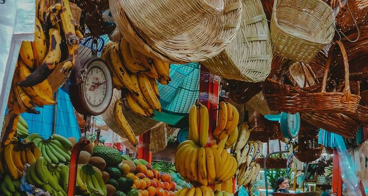 Mexico Express 6 Days Tour - GUIDEcuador Travel 10