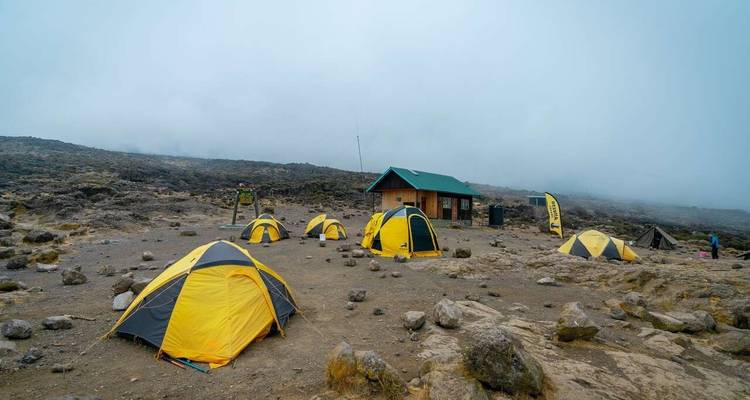 Kilimanjaro Climbing Via Marangu Route 6 days + 2 days Safari - theKili-Guides 2