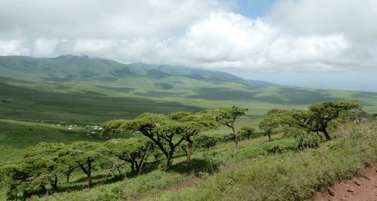 Kilimanjaro Climbing Via Marangu Route 6 days + 2 days Safari - theKili-Guides 8