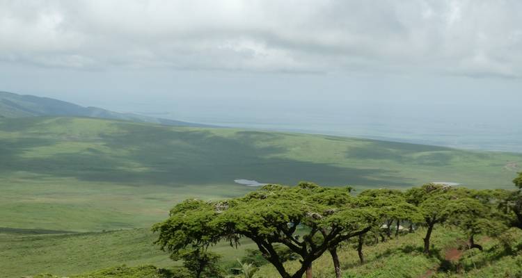 Kilimanjaro Climbing Via Marangu Route 6 days + 2 days Safari - theKili-Guides 9