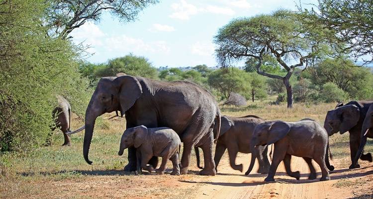Desde Arusha 7 días Expedición por Carretera a África: Avistamiento de los Cinco Grandes en Tanzania Viaje Safari Serengeti,Tarangire, Lago Natron - Beach and Safari Holidays 1