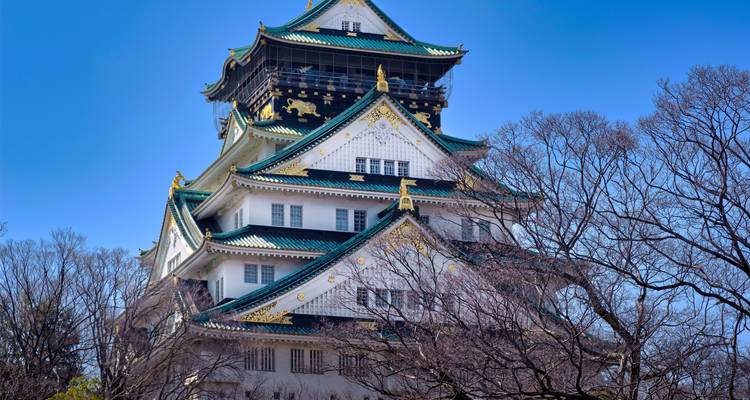 Expedición gastronómica de 14 días por Japón (guía y conductor privados）) - UME Travel Co. Ltd 6
