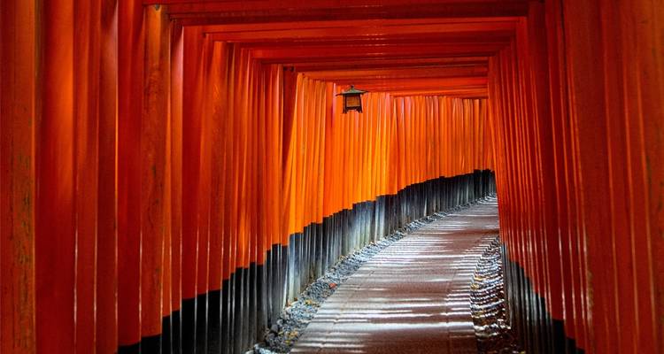 9 Days Deluxe Japan Tour (private guide & driver） - UME Travel Co. Ltd 2