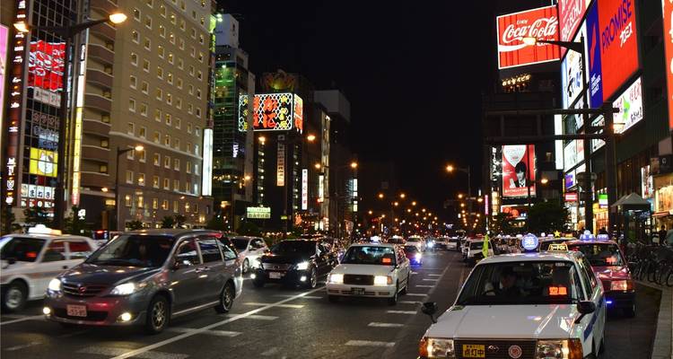 9 Days Deluxe Japan Tour (private guide & driver） - UME Travel Co. Ltd 4