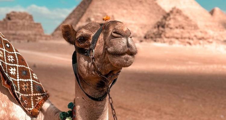 Descubre todo El Cairo, Guiza y Luxor en 3 días - Experience Egypt Tours 1