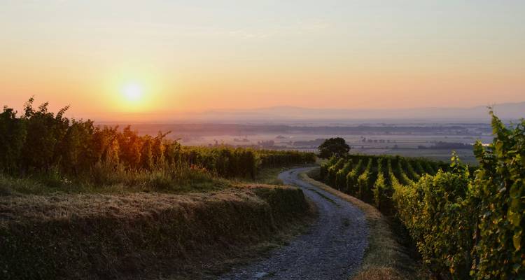 Alsace: land of tradition and gastronomy (port-to-port cruise) - BEETHOVEN - CroisiEurope River Cruises 1