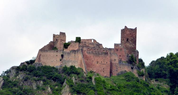 Alsace: land of tradition and gastronomy (port-to-port cruise) - BEETHOVEN - CroisiEurope River Cruises 4