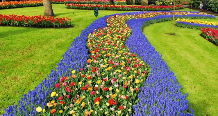 Springtime in Holland (port-to-port cruise) - DOUCE FRANCE - CroisiEurope River Cruises 2