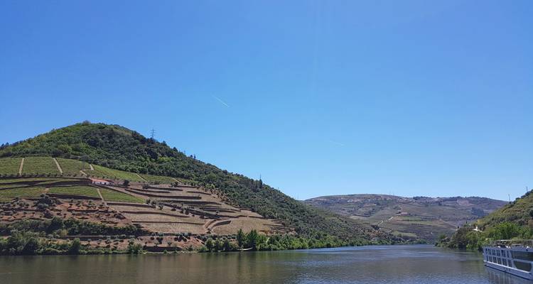Porto et la vallée du Douro (croisière de port à port) - FERNAO DE MAGALHAES - CroisiEurope River Cruises 4
