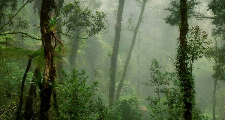 Wild Sarawak (14 destinations) - Intrepid Travel 2