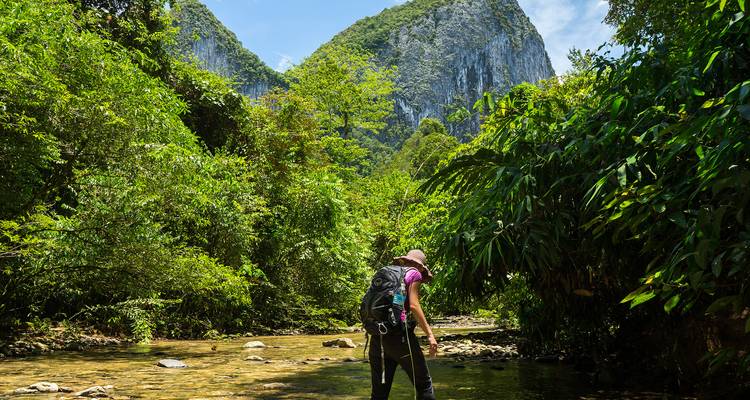 Wild Sarawak (14 destinations) - Intrepid Travel 9