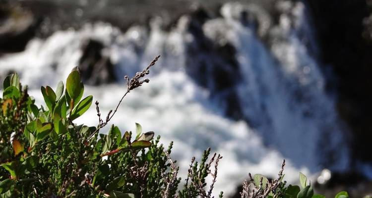 Crucero en velero y ruta de descubrimiento del noreste de Islandia - DIAMIR Erlebnisreisen 3