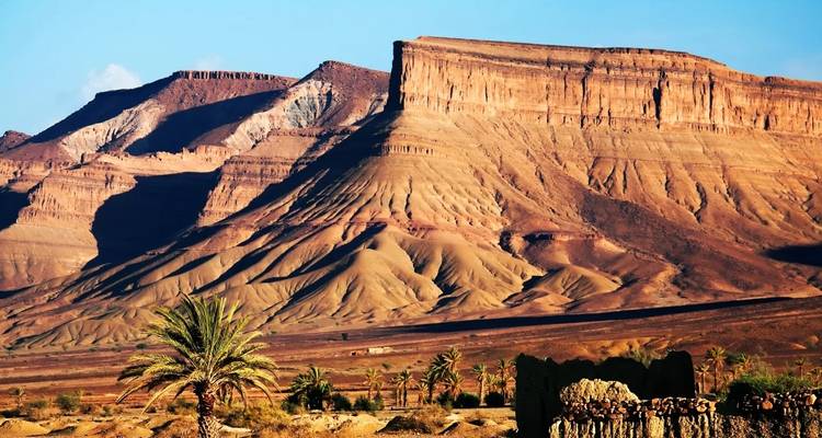 Scenic landscape with desert mountains and a scattering of palm trees.