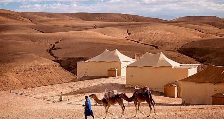 Desert scene with camel caravans and traditional tents.