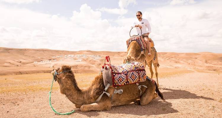 Ein Mann, der auf einem Kamel reitet, mit einer Wüstenlandschaft im Hintergrund.