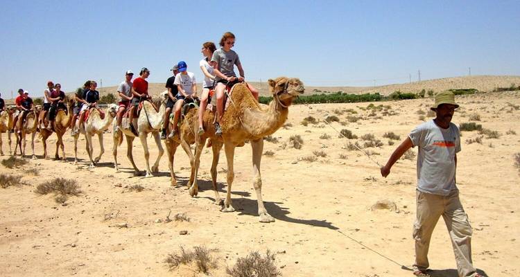 Kamelkarawane mit Touristen, geführt von einem Führer in einer Wüste.