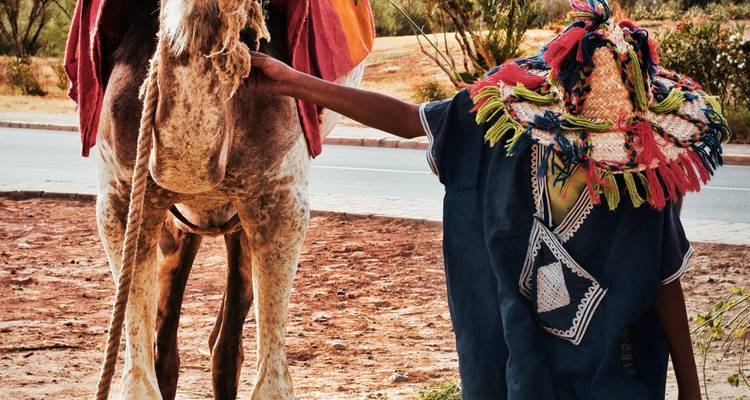 Circuito de 5 Días de Marrakech a Merzouga (Privado) - Morocco Magic Trip 5