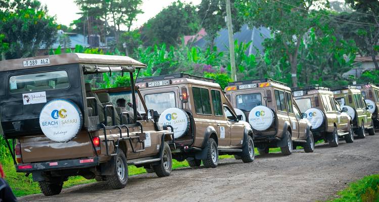 From Arusha: 9-Day Safari Flexible Migration Roundtrip Multi-Park Game Drive with Accommodation - Beach and Safari Holidays 7
