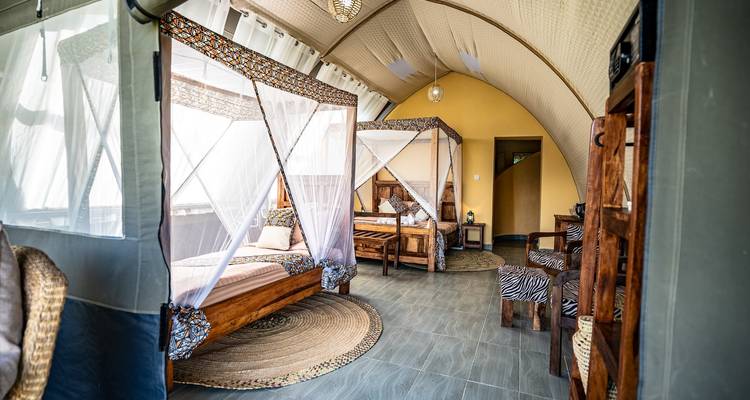 From Arusha: 9-Day Safari Flexible Migration Roundtrip Multi-Park Game Drive with Accommodation - Beach and Safari Holidays 9