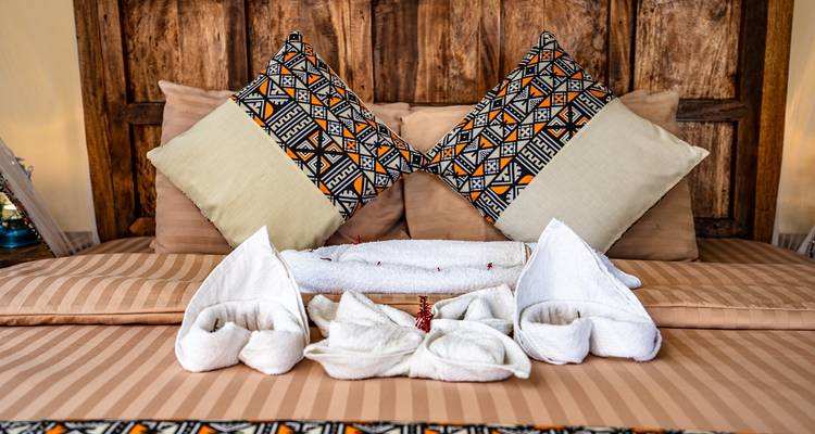 From Arusha: 9-Day Safari Flexible Migration Roundtrip Multi-Park Game Drive with Accommodation - Beach and Safari Holidays 10
