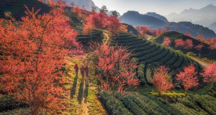 Trekking des merveilles du Vietnam - 3 jours au cœur de Sapa - Wonderscape Travel 4