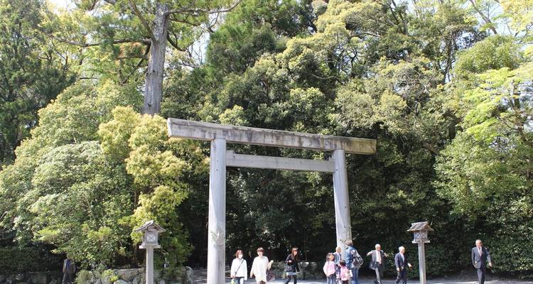 Circuito clásico de Japón de 11 días (guía y conductor privados） - UME Travel Co. Ltd 7
