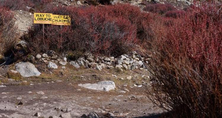 Expedición al Pico Lobuche - AlpWander Adventures Pvt. Ltd. 2