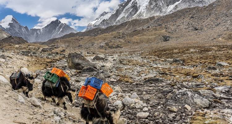 Expedición al Pico Lobuche - AlpWander Adventures Pvt. Ltd. 6