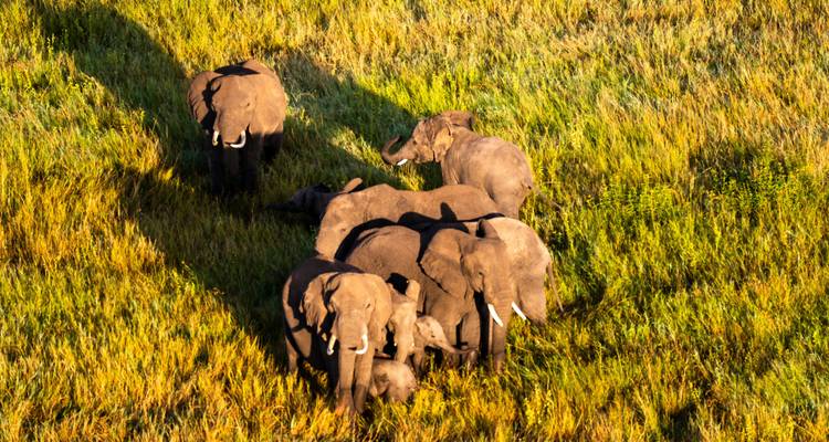 From Arusha : 11 days The Complete Africa Safari Tour - Beach and Safari Holidays 6