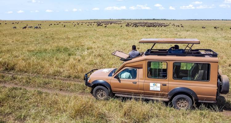 Safari-Fahrzeug in einer Savanne mit Gnus im Hintergrund.