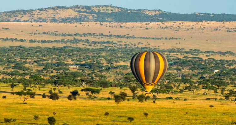 Desde Arusha: safari de 11 días por el famoso Serengeti del Revés - Beach and Safari Holidays 2