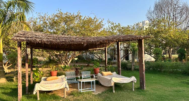 Schaduwrijke tuinlounge met twee daybeds onder een rustieke houten pergola gelegen in een weelderig gazon met fruitbomen.