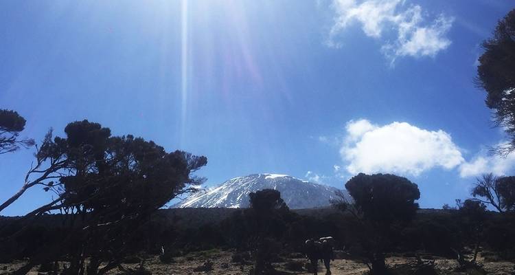 Tanzania trekking al monte Kilimanjaro por la ruta Lemosho - Hazzes Adventure 2