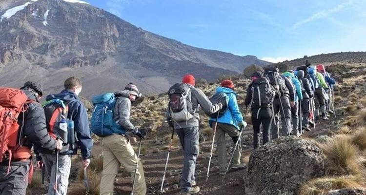 Tanzania trekking al monte Kilimanjaro por la ruta Lemosho - Hazzes Adventure 7