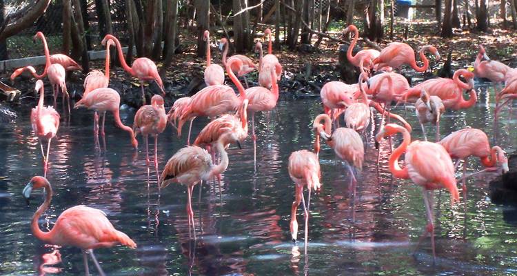 5 Days in Colombia: Islands, Mangroves & Local Flavors - Responsible Travel South America 3