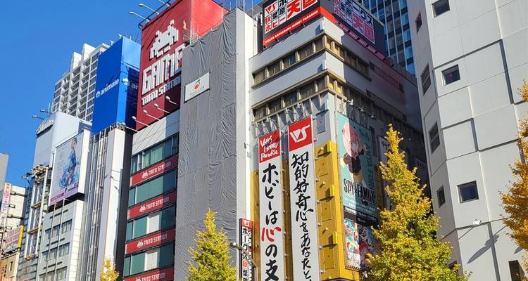 Circuit familial au Japon - 10 jours (guide et chauffeur privés) - UME Travel Co. Ltd 1